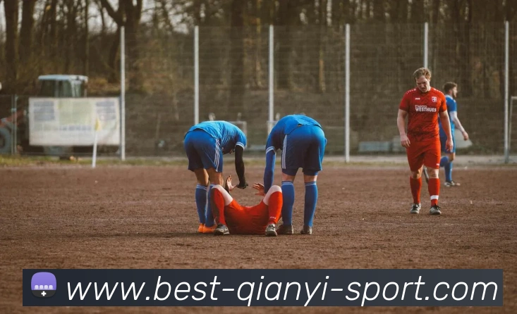 千亿体育平台生态图